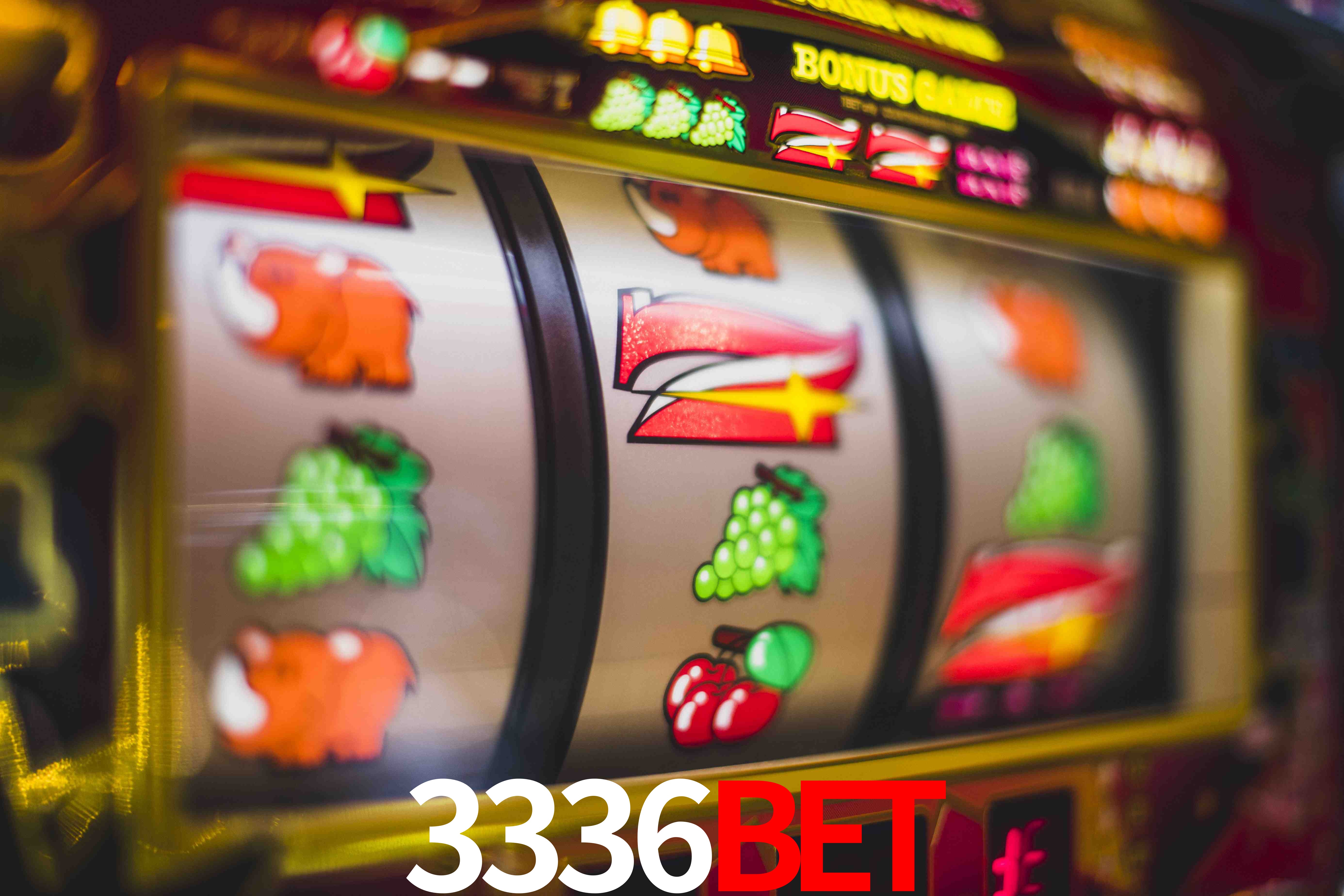 Experiência VIP 3336bet